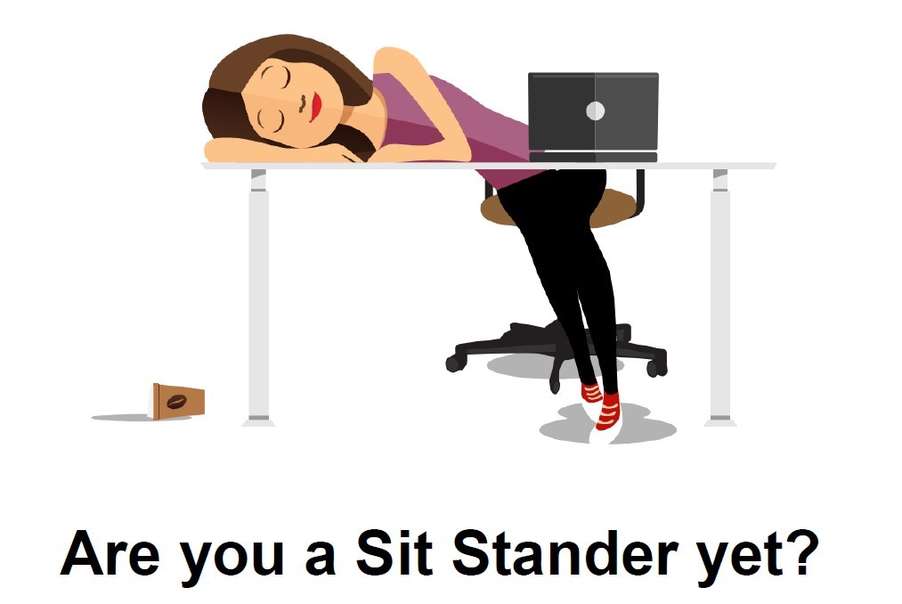 Sit_stander_picture